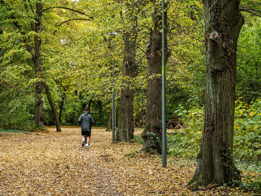 Une personne courant sur un chemin couvert de feuilles